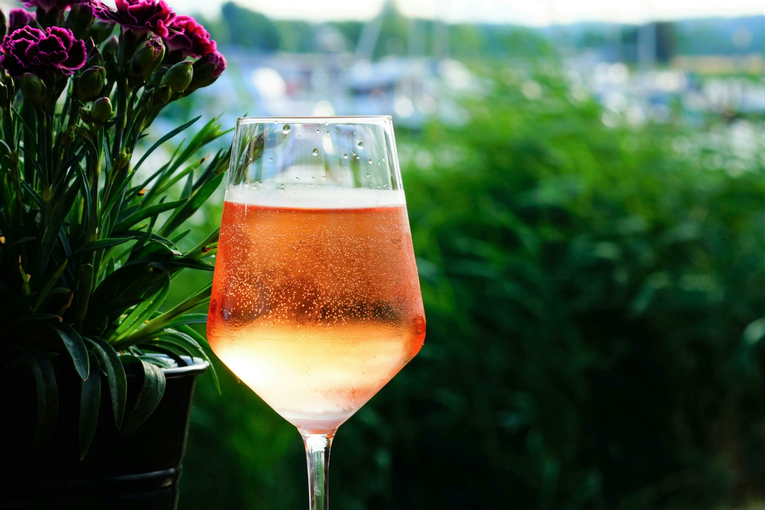 Alkoholfri vin – Et sundt og lækkert alternativ
